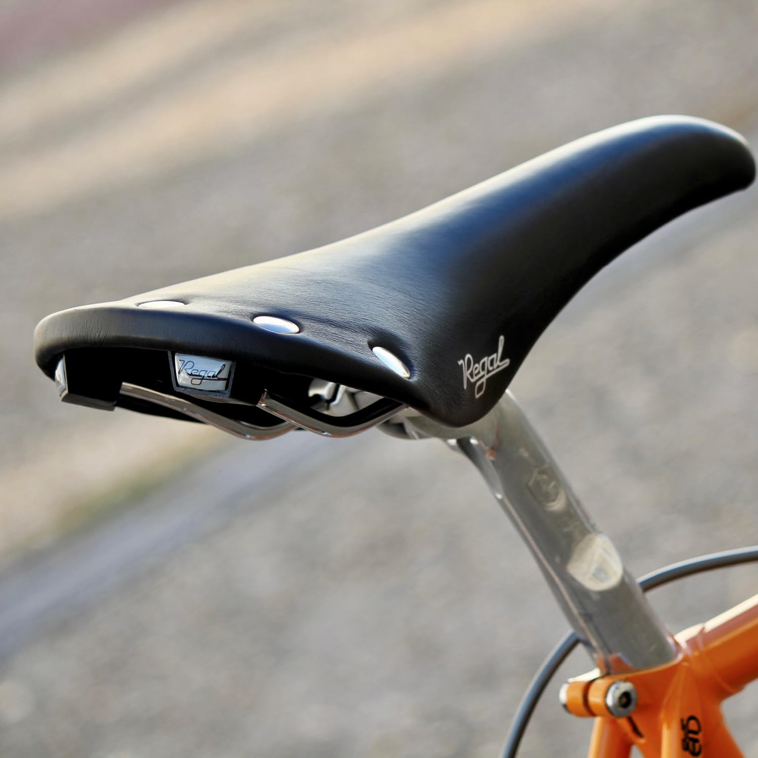 selle-san-marco-regal-classica-nera image 6