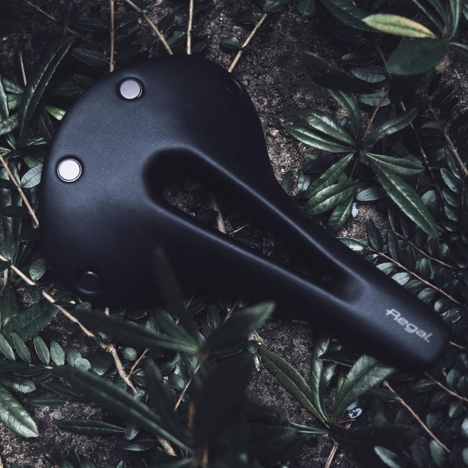 selle-san-marco-regal-short-sella-gravel-bikepacking-bow-rail-borchie image 8